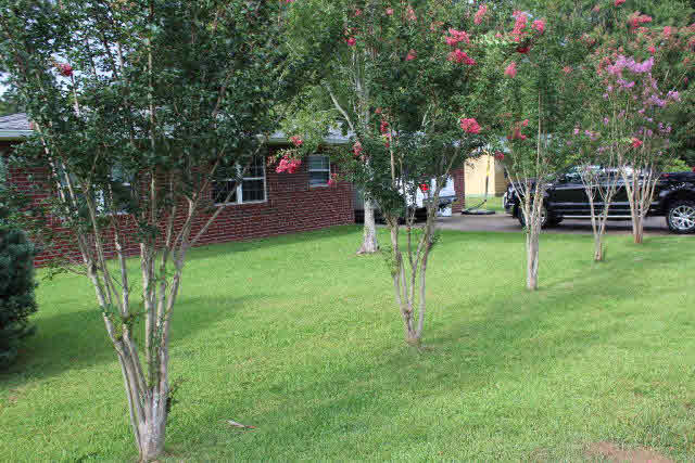 320 West Rose Avenue Foley, AL 36535 - Photo 24 of 30