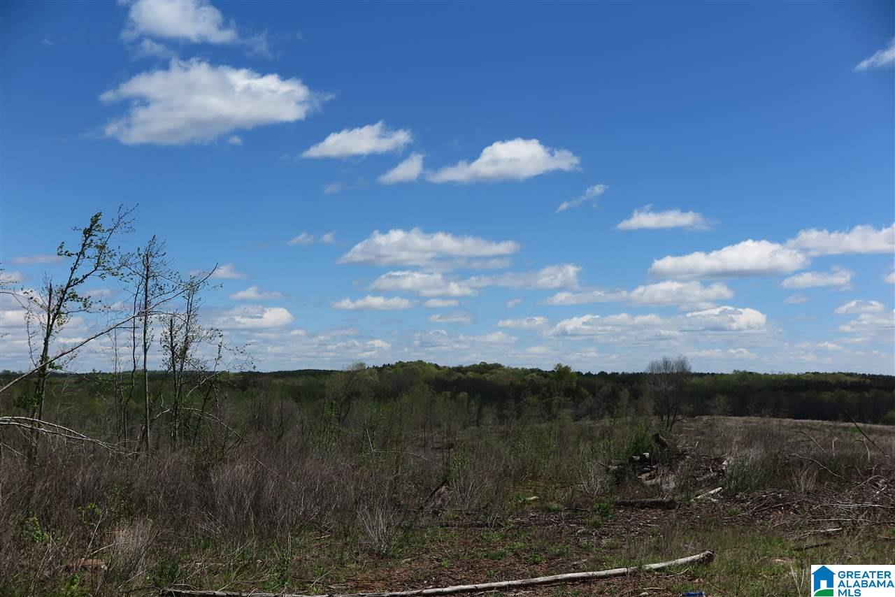 178 County Road, Unit 132 Five Points, AL 36855 - Photo 2 of 8
