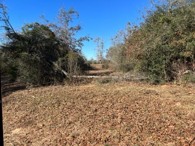 26541 Old Boggy Road Opp, AL 36467 - Photo 14 of 50 Gallery Image 14