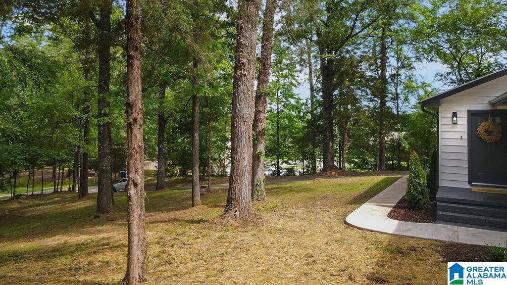 506 Cedar Lane Alabaster, AL 35114 - Photo 4 of 48