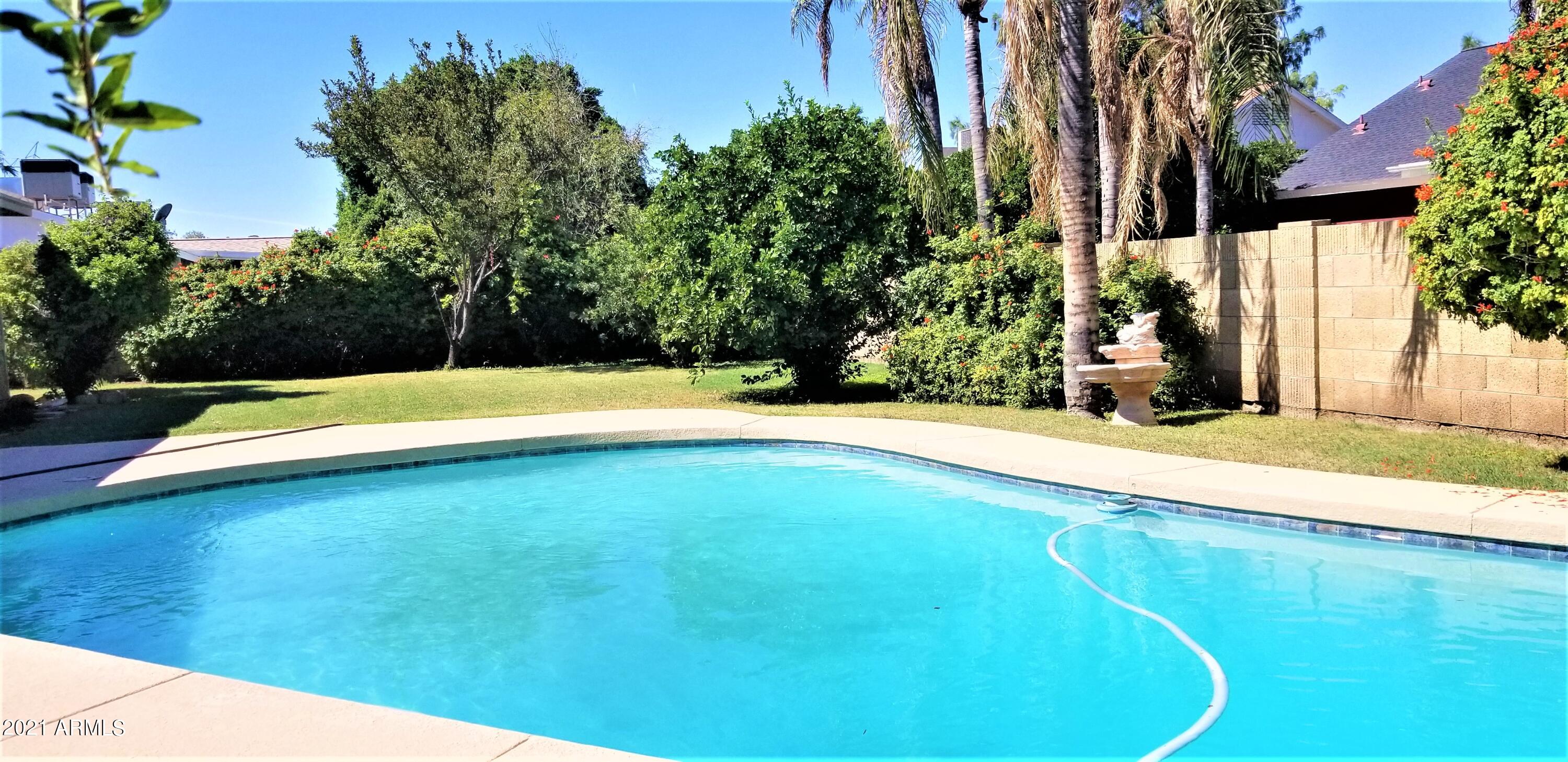 2738 East Decatur Street Mesa, AZ 85213 - Photo 24 of 52 Large Lush Backyard with Sparkling Pool