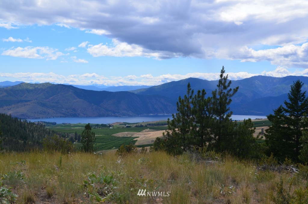 164 Purtteman Gulch Road Chelan, WA 98816 - Photo 8 of 16 Gallery Image 8