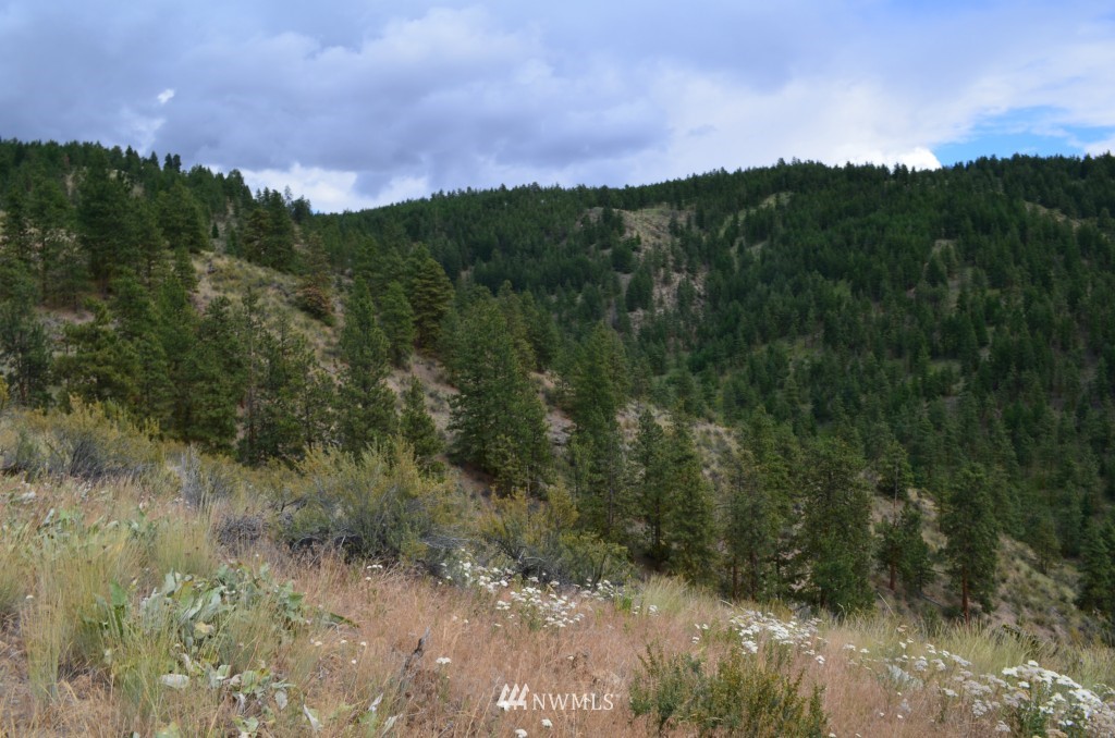 164 Purtteman Gulch Road Chelan, WA 98816 - Photo 9 of 16 Gallery Image 9