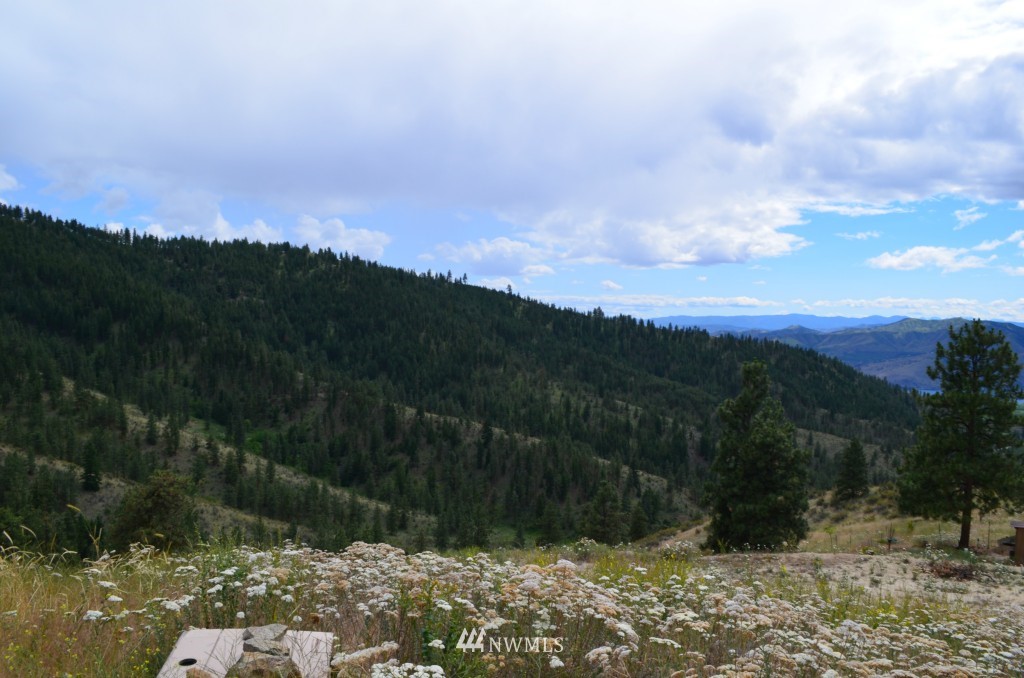 164 Purtteman Gulch Road Chelan, WA 98816 - Photo 10 of 16 Gallery Image 10