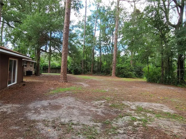 a view of a yard with tree s