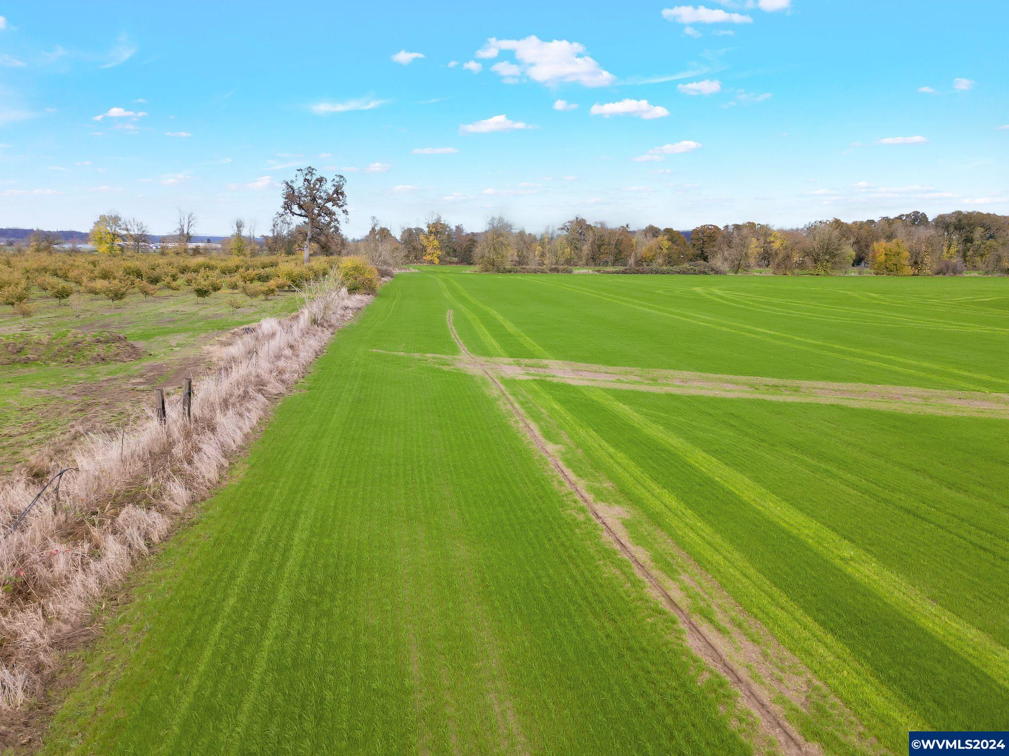 Robinson (n Of Goar Rd) Drive Scio, OR 97374 - Photo 8 of 14