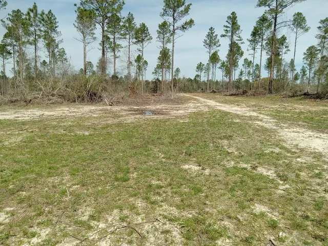 a view of a yard with a fountain