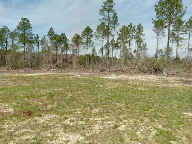 a view of outdoor space with swimming pool and trees in the background