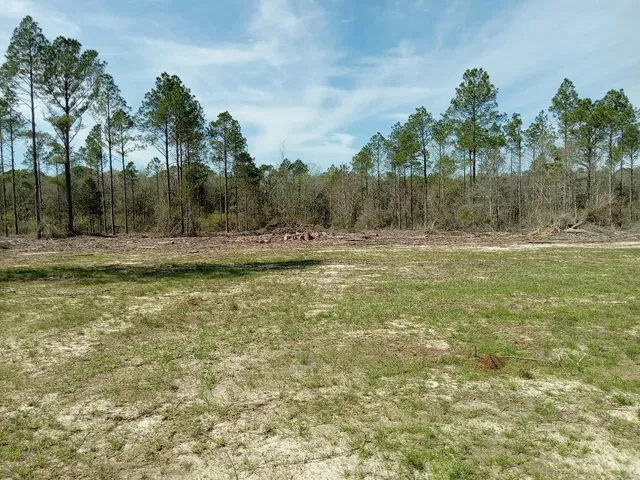 a view of a yard with trees in the background