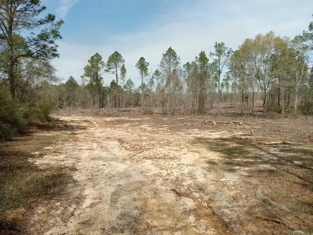 a view of a backyard of the house