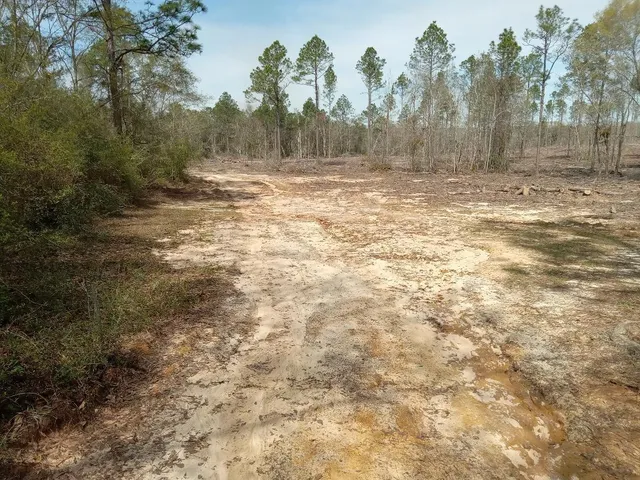 $550,000 | Xx North Suttles Drive, Laurel Hill, FL 32567