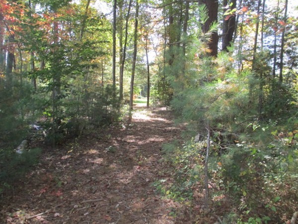 0 Cameron Way Rehoboth, MA 02769 - Photo 20 of 20 Gallery Image 20