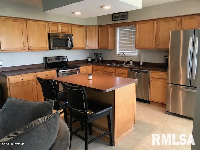 252 Dunivan Road Murphysboro, IL 62966 - Photo 4 of 21