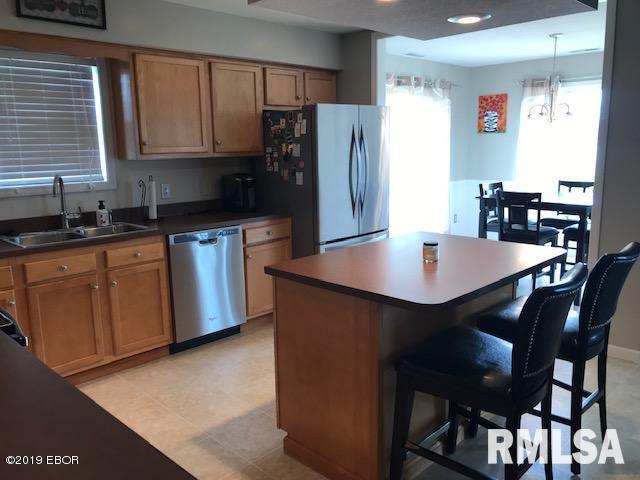 252 Dunivan Road Murphysboro, IL 62966 - Photo 5 of 21