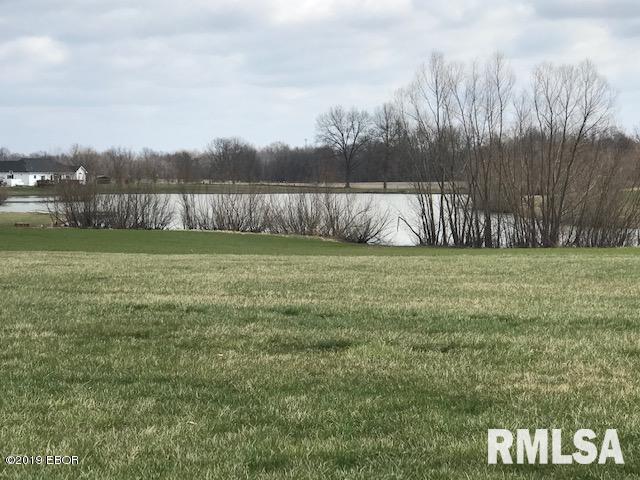 252 Dunivan Road Murphysboro, IL 62966 - Photo 7 of 21