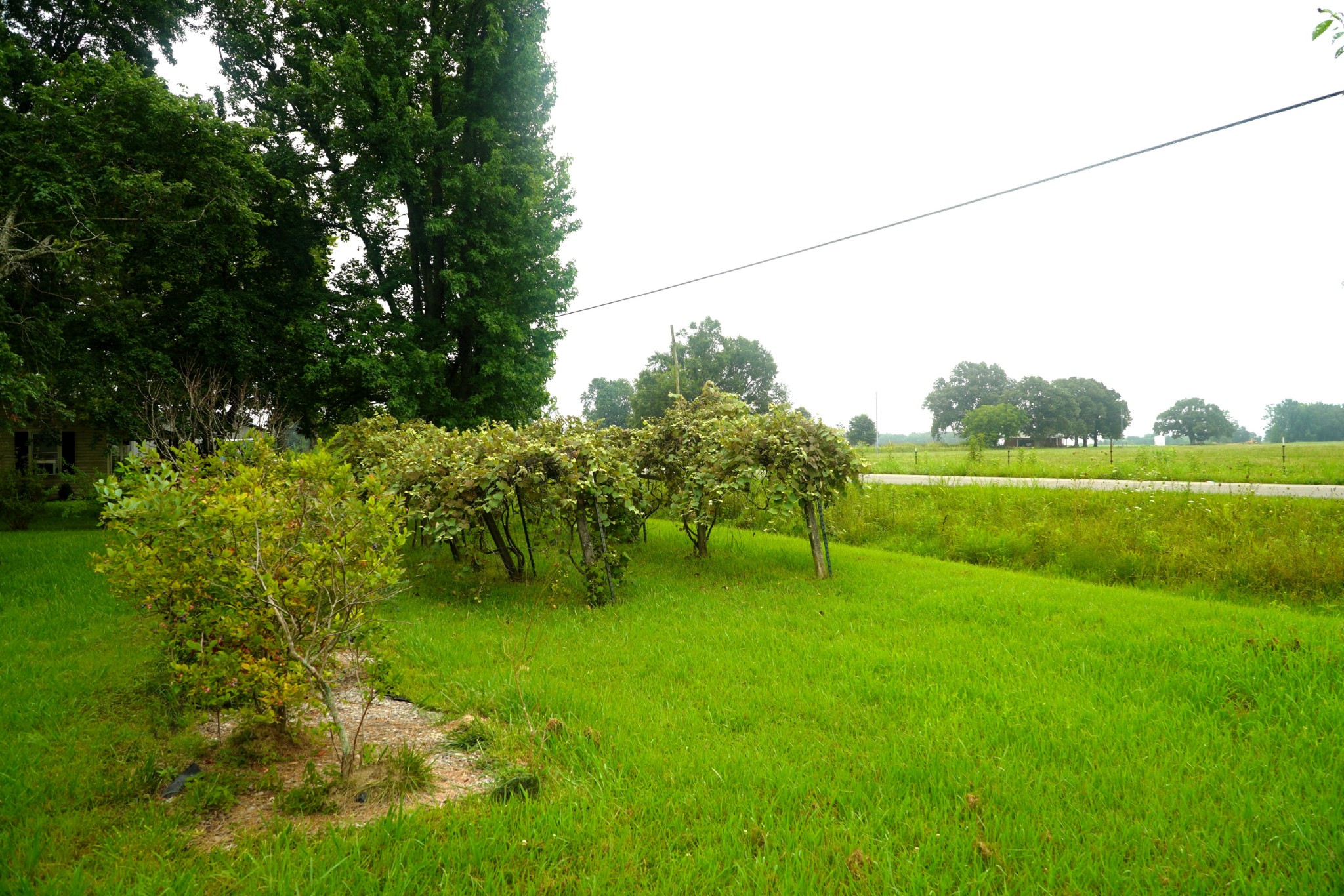247 Jones Road Taft, TN 38488 - Photo 60 of 64