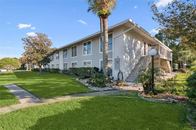 a front view of a house with a yard and tree