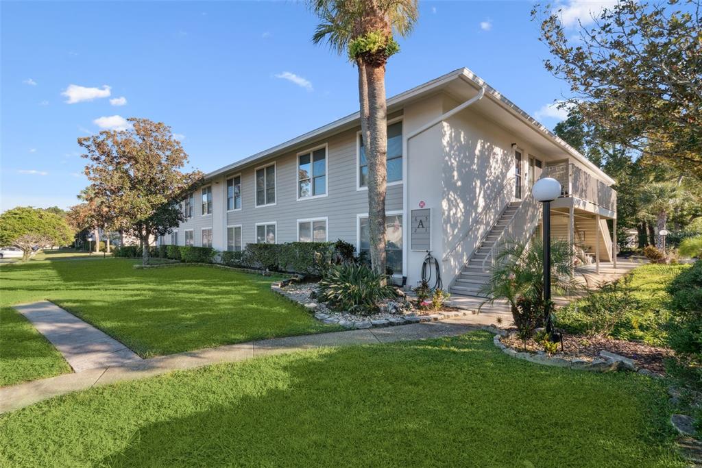 a front view of a house with a yard and tree
