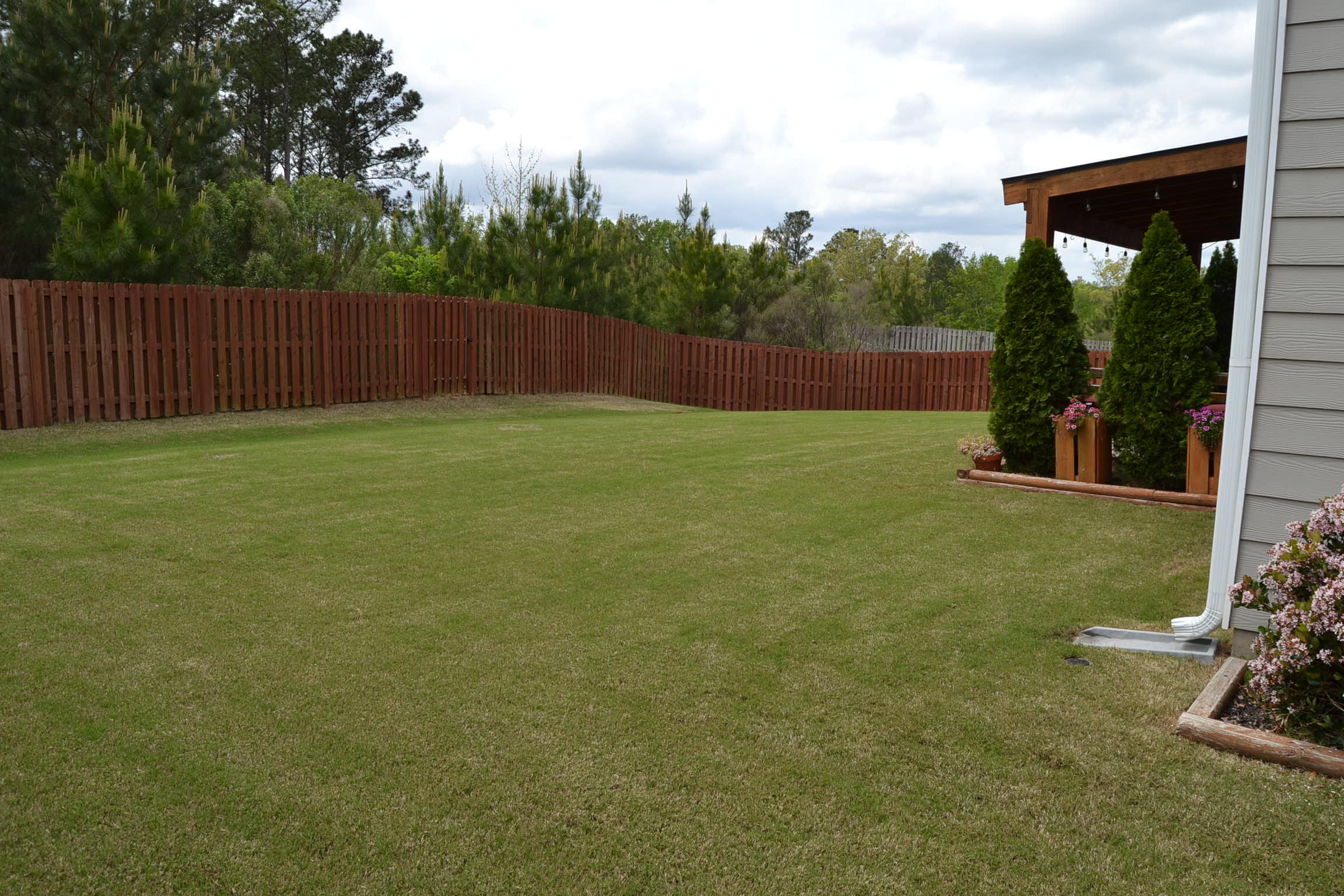 4639 Southwind Road Evans, GA 30809 - Photo 36 of 38 Back Yard 4