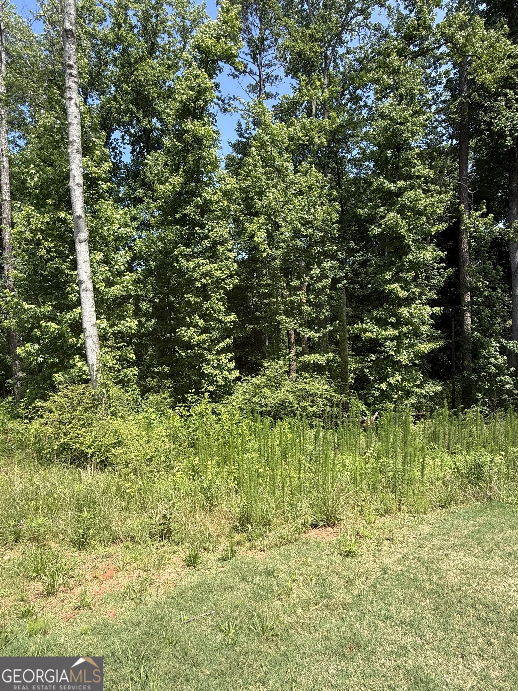 1665 Piedmont Road Griffin, GA 30224 - Photo 2 of 6
