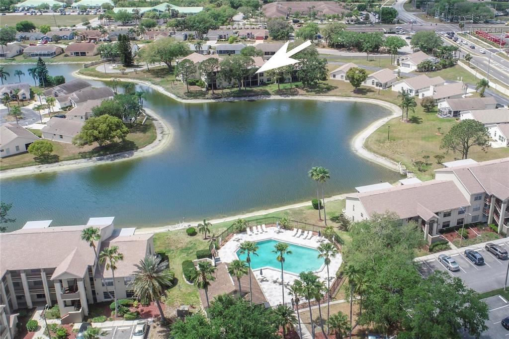4575 Whitton Way, Unit 1126 New Port Richey, FL 34653 - Photo 33 of 46 Gallery Image 33