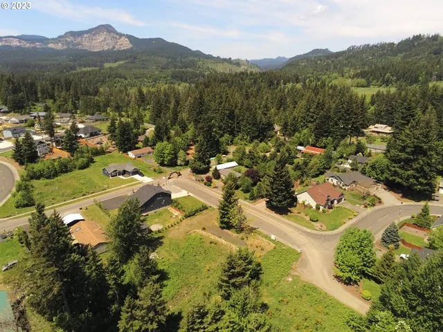 a view of a town with mountains in the background