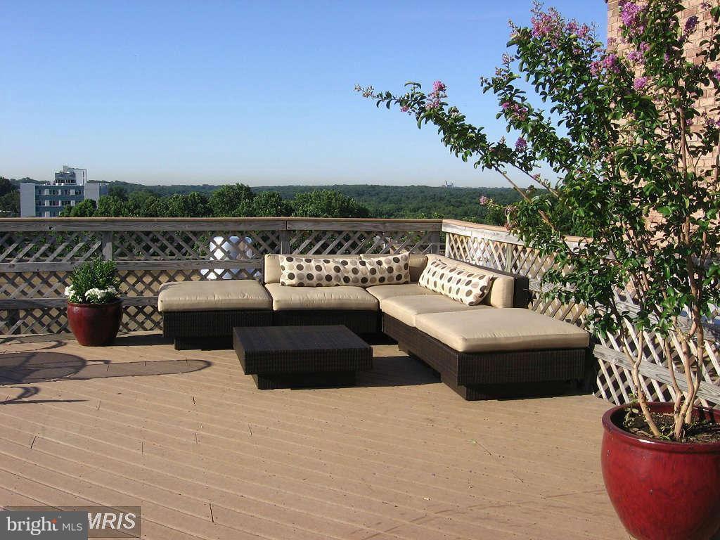 1900 Lyttonsville Road, Unit 802 Silver Spring, MD 20910 - Photo 11 of 15 Community Roof Deck