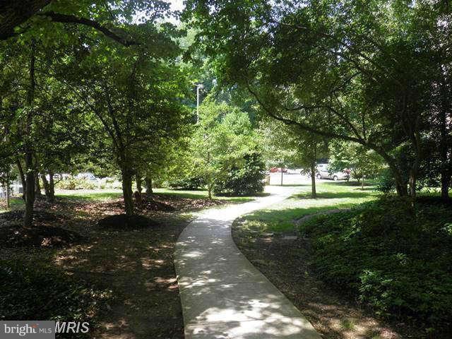 1900 Lyttonsville Road, Unit 802 Silver Spring, MD 20910 - Photo 13 of 15 Community Grounds Walk