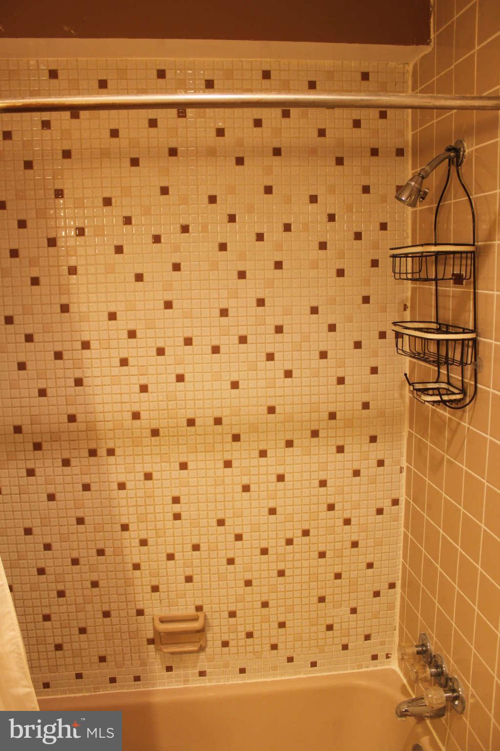 1900 Lyttonsville Road, Unit 802 Silver Spring, MD 20910 - Photo 7 of 15 Bath