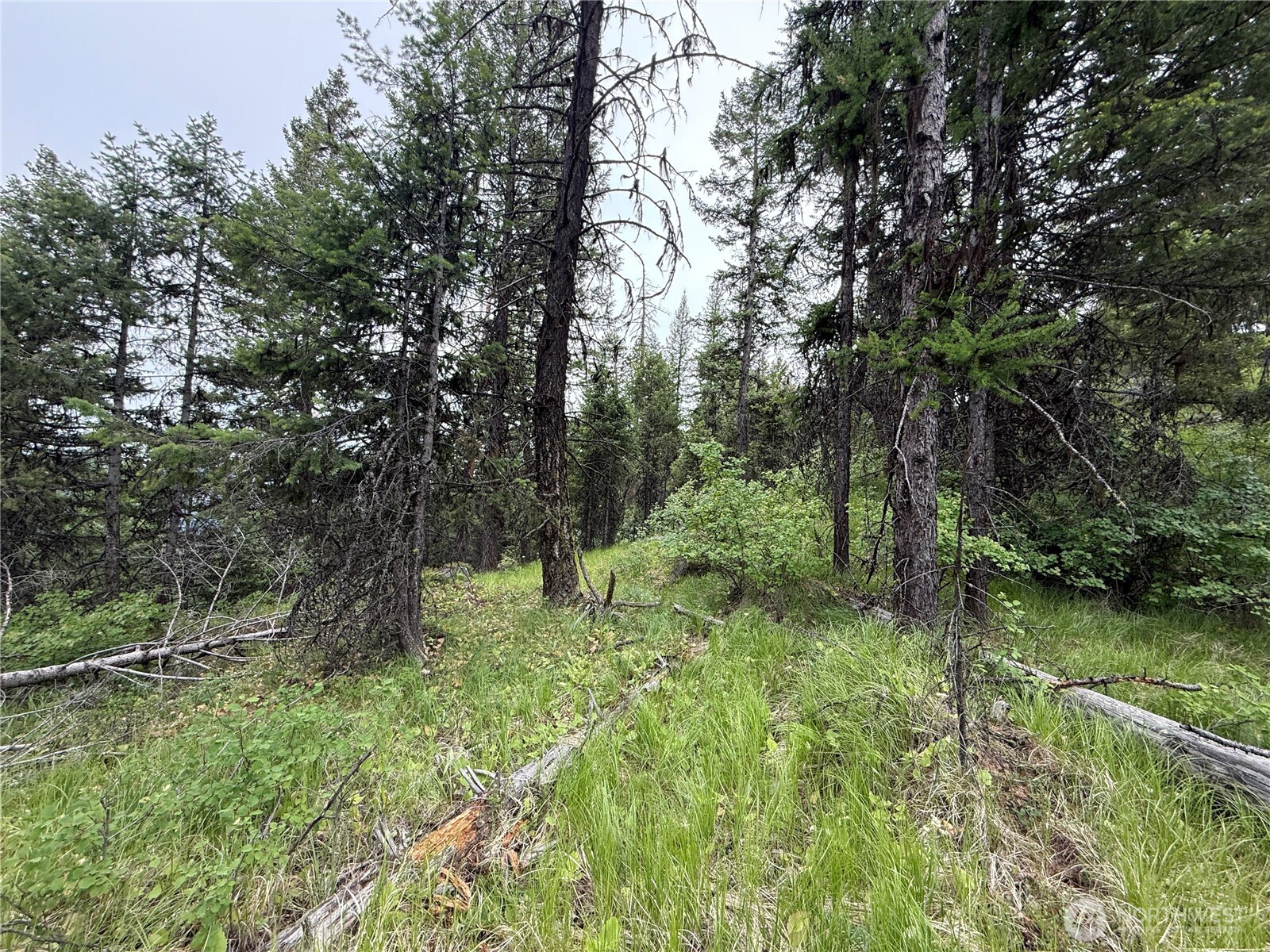 0 Mule Deer Road Republic, WA 99166 - Photo 16 of 20