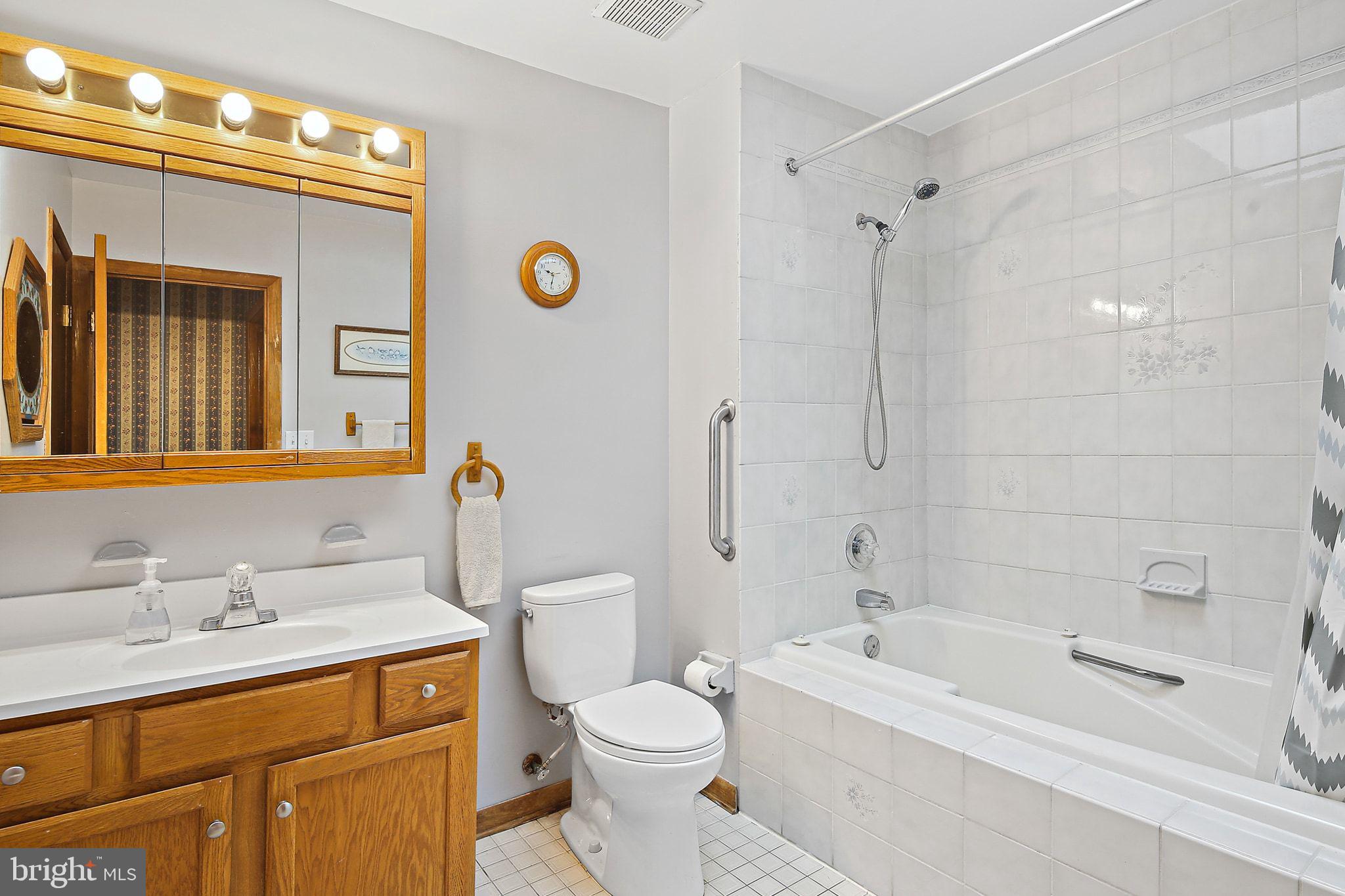 1025 St Michaels Road Mount Airy, MD 21771 - Photo 20 of 31 a bathroom with a sink a toilet and shower