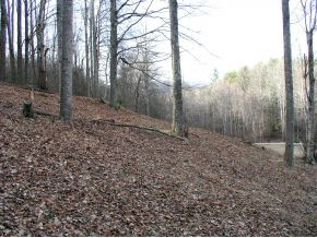 305 Fiddlers Branch Road Hampton, TN 37658 - Photo 7 of 12 View