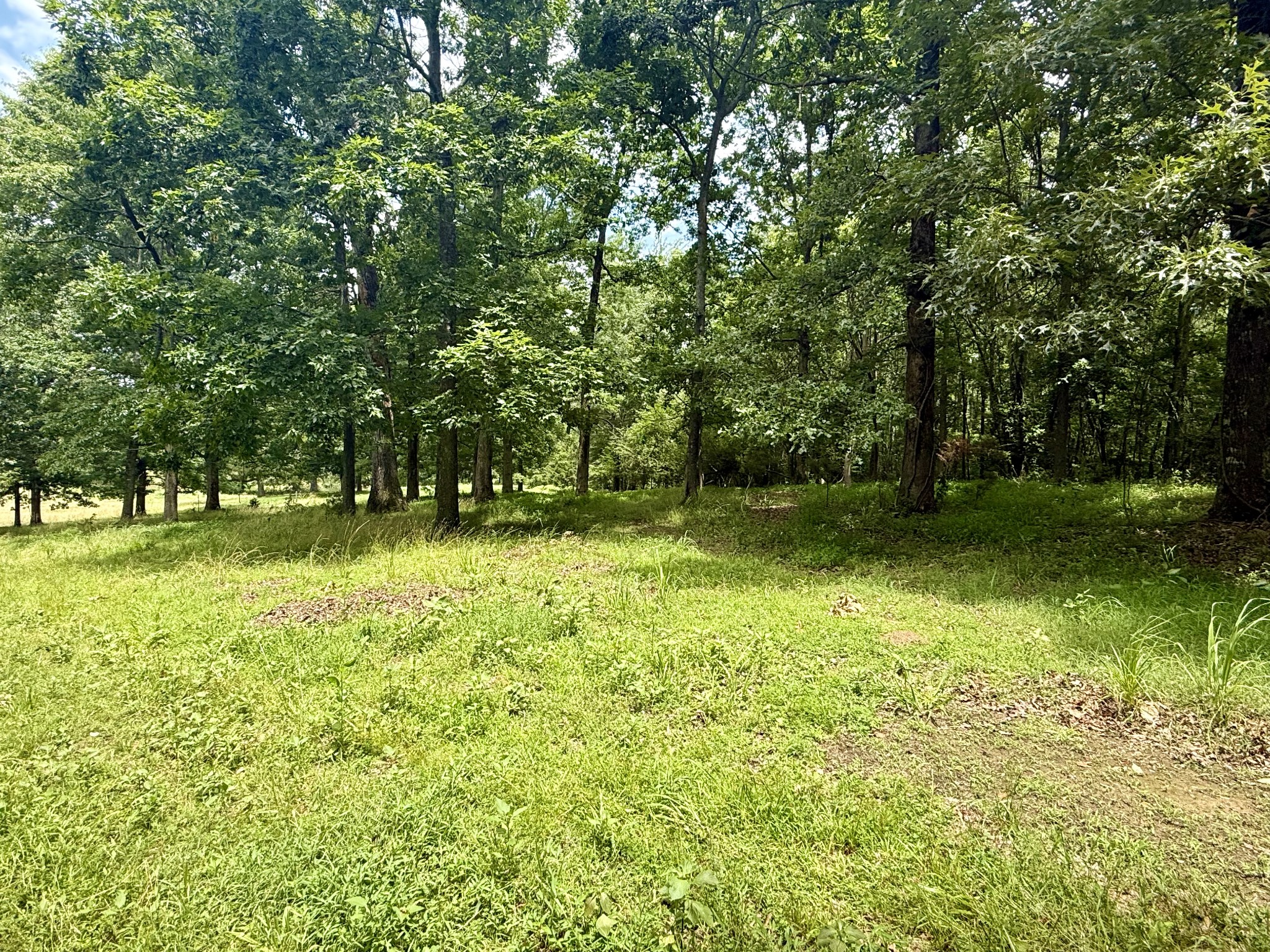 0 Crowder Road Lawrenceburg, TN 38464 - Photo 56 of 58
