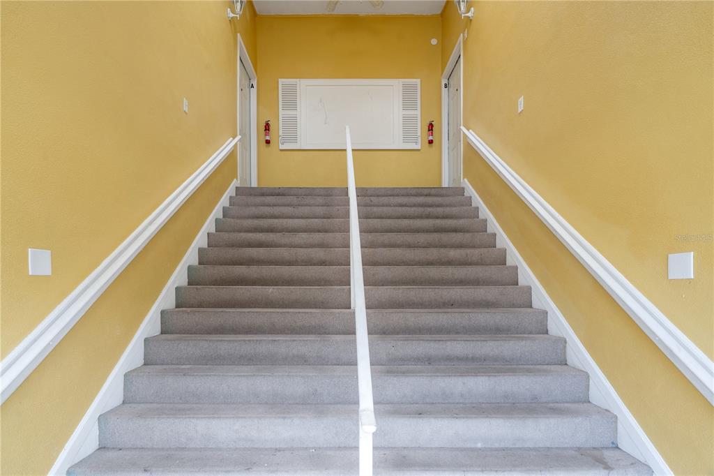 8134 Papaya Street Port Richey, FL 34668 - Photo 4 of 43