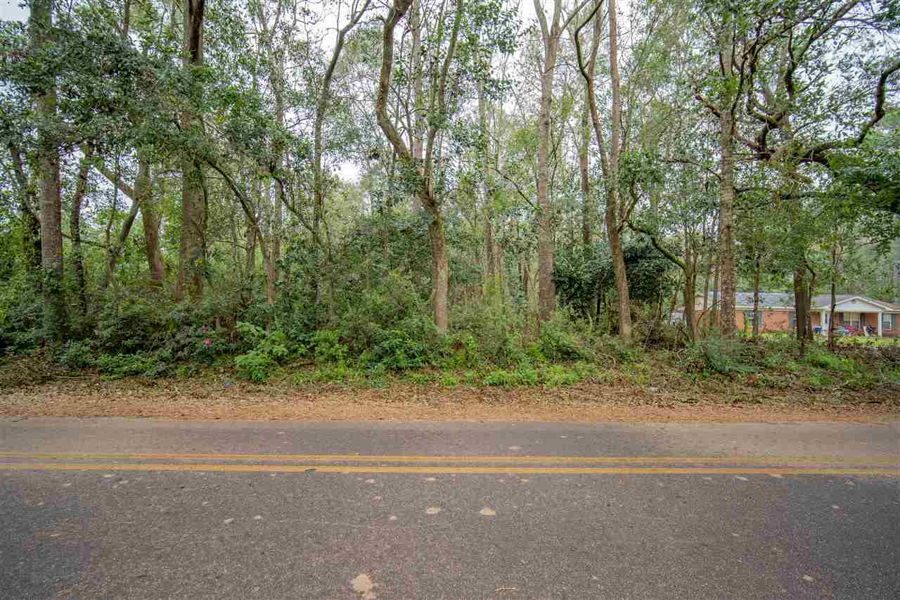 Middle Street Fairhope, AL 36532 - Photo 3 of 11