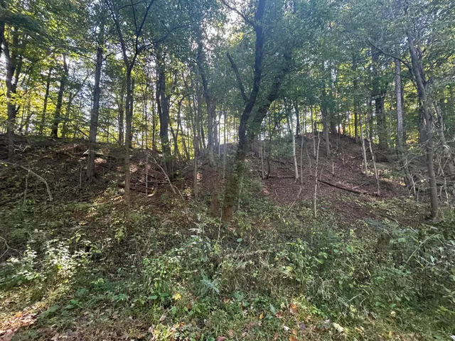 $1,500,000 | 7644 Bothwell Highway, Hudson, MI 49247