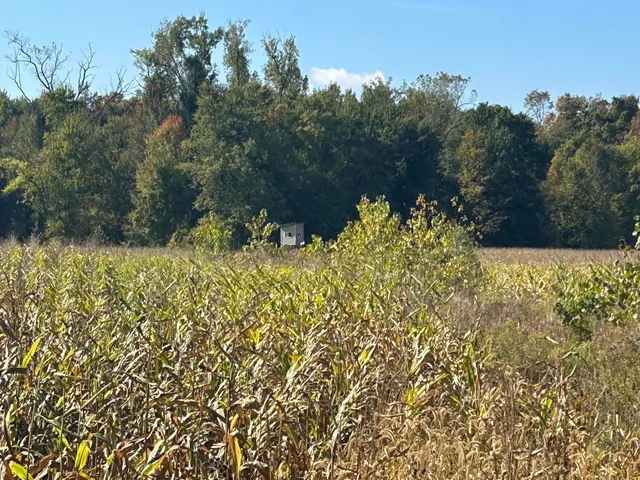 $1,500,000 | 7644 Bothwell Highway, Hudson, MI 49247