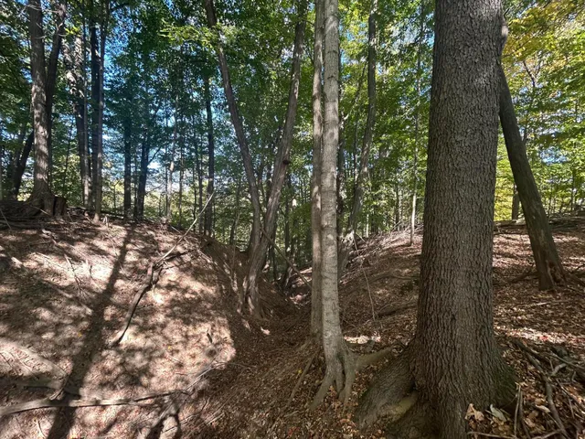 $1,500,000 | 7644 Bothwell Highway, Hudson, MI 49247