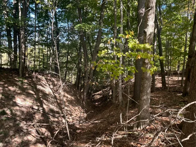 $1,500,000 | 7644 Bothwell Highway, Hudson, MI 49247