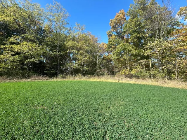 $1,500,000 | 7644 Bothwell Highway, Hudson, MI 49247
