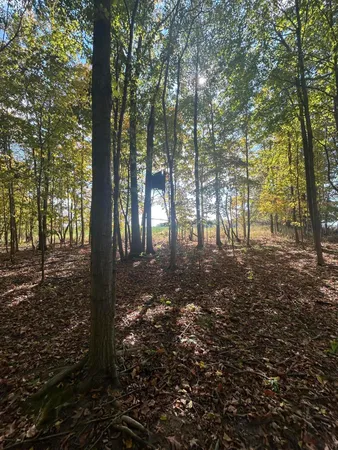 $1,500,000 | 7644 Bothwell Highway, Hudson, MI 49247