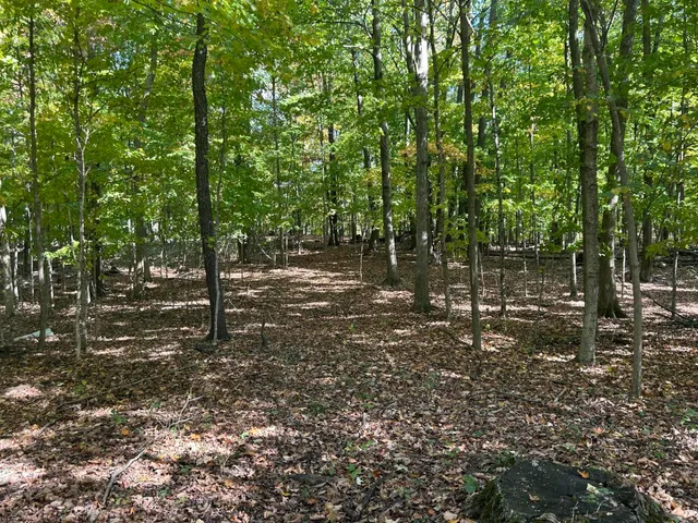 $1,500,000 | 7644 Bothwell Highway, Hudson, MI 49247