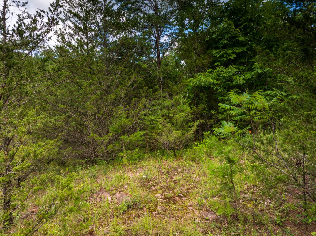0 Round Barn Road Powder Springs, TN 37848 - Photo 16 of 40