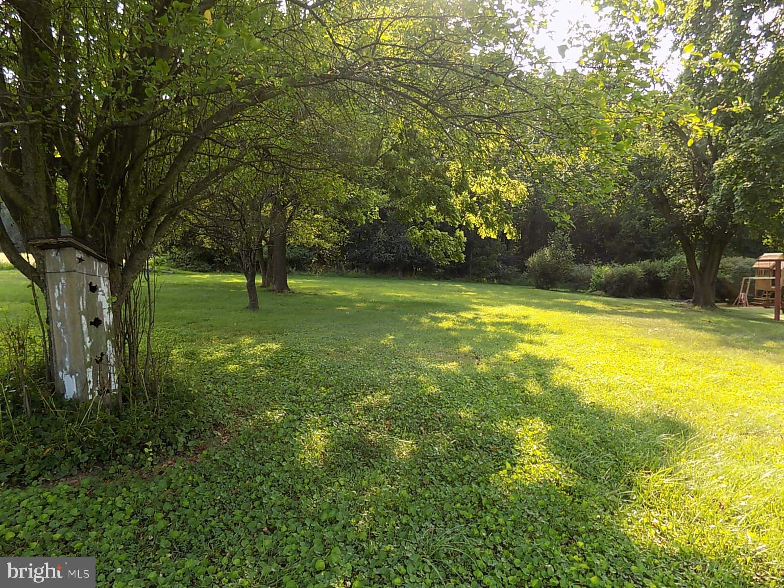 0 Myers Road Spring Grove, PA 17362 - Photo 4 of 10 Far rear left of lot