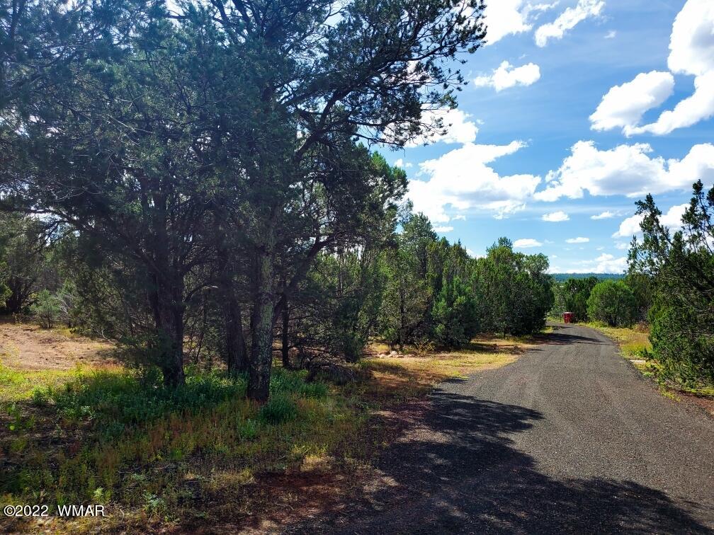 571 Co Road Show Low, AZ 85901 - Photo 11 of 30