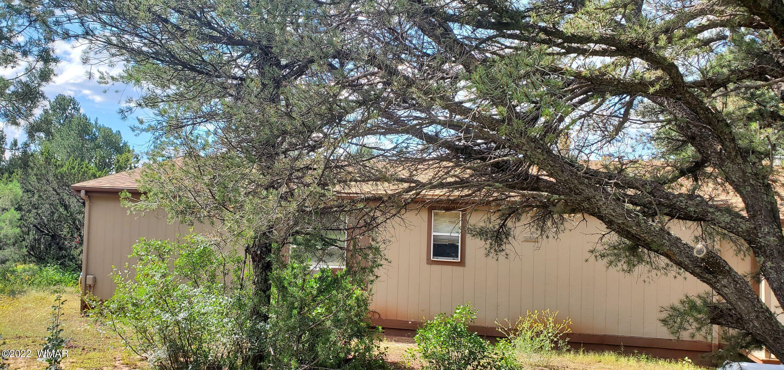 571 Co Road Show Low, AZ 85901 - Photo 13 of 30