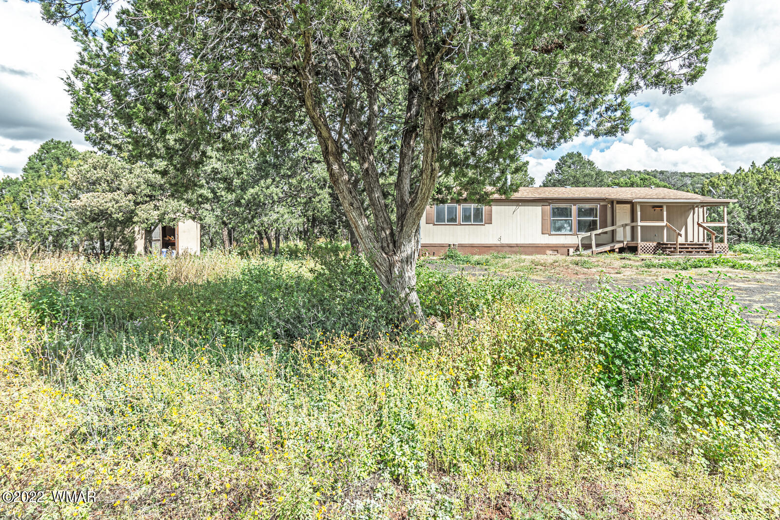 571 Co Road Show Low, AZ 85901 - Photo 5 of 30