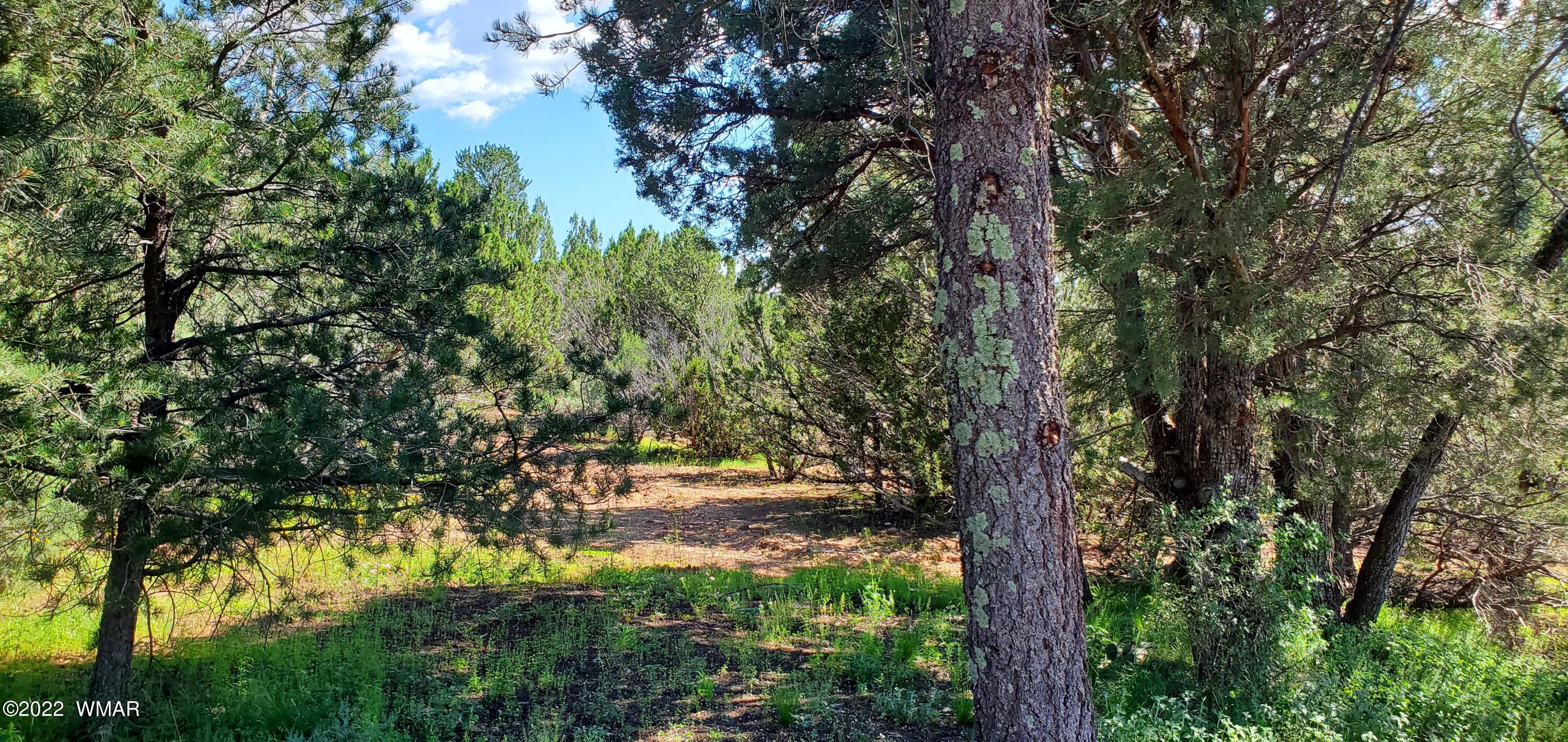 571 Co Road Show Low, AZ 85901 - Photo 7 of 30