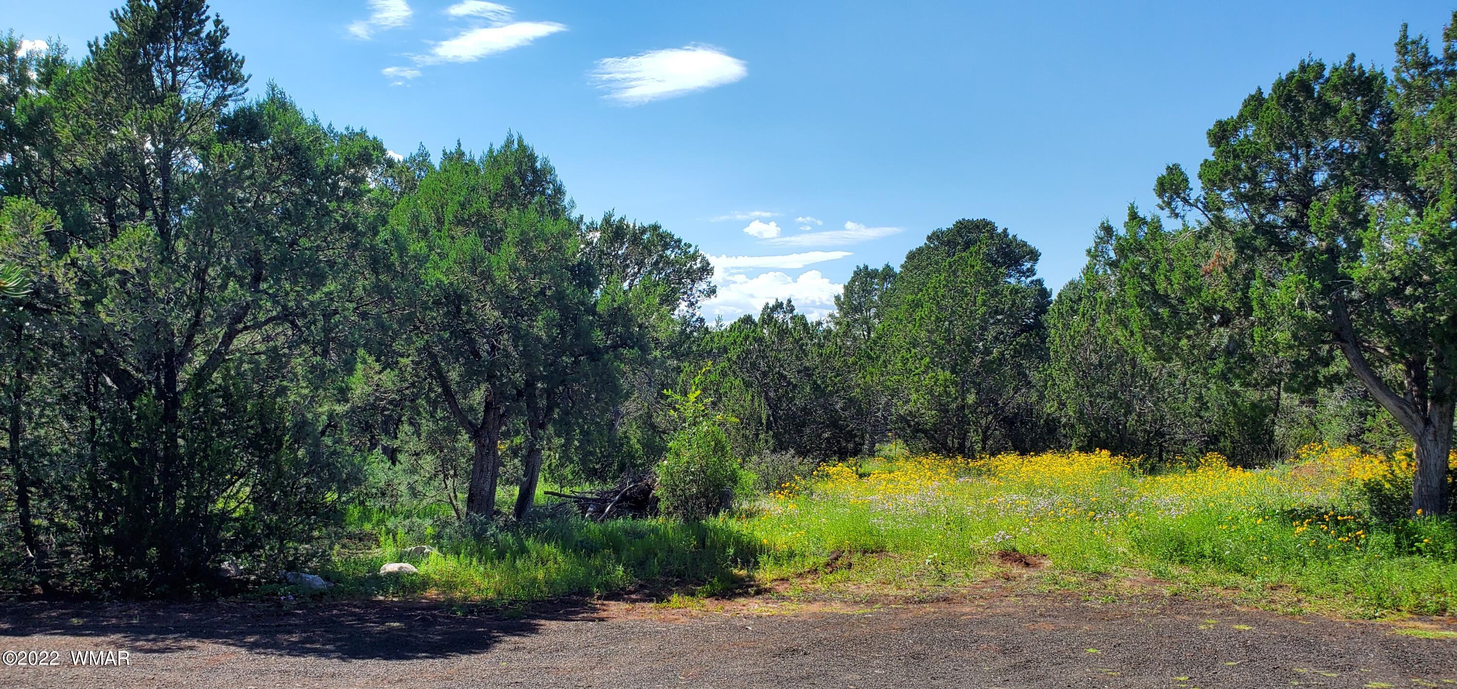 571 Co Road Show Low, AZ 85901 - Photo 8 of 30