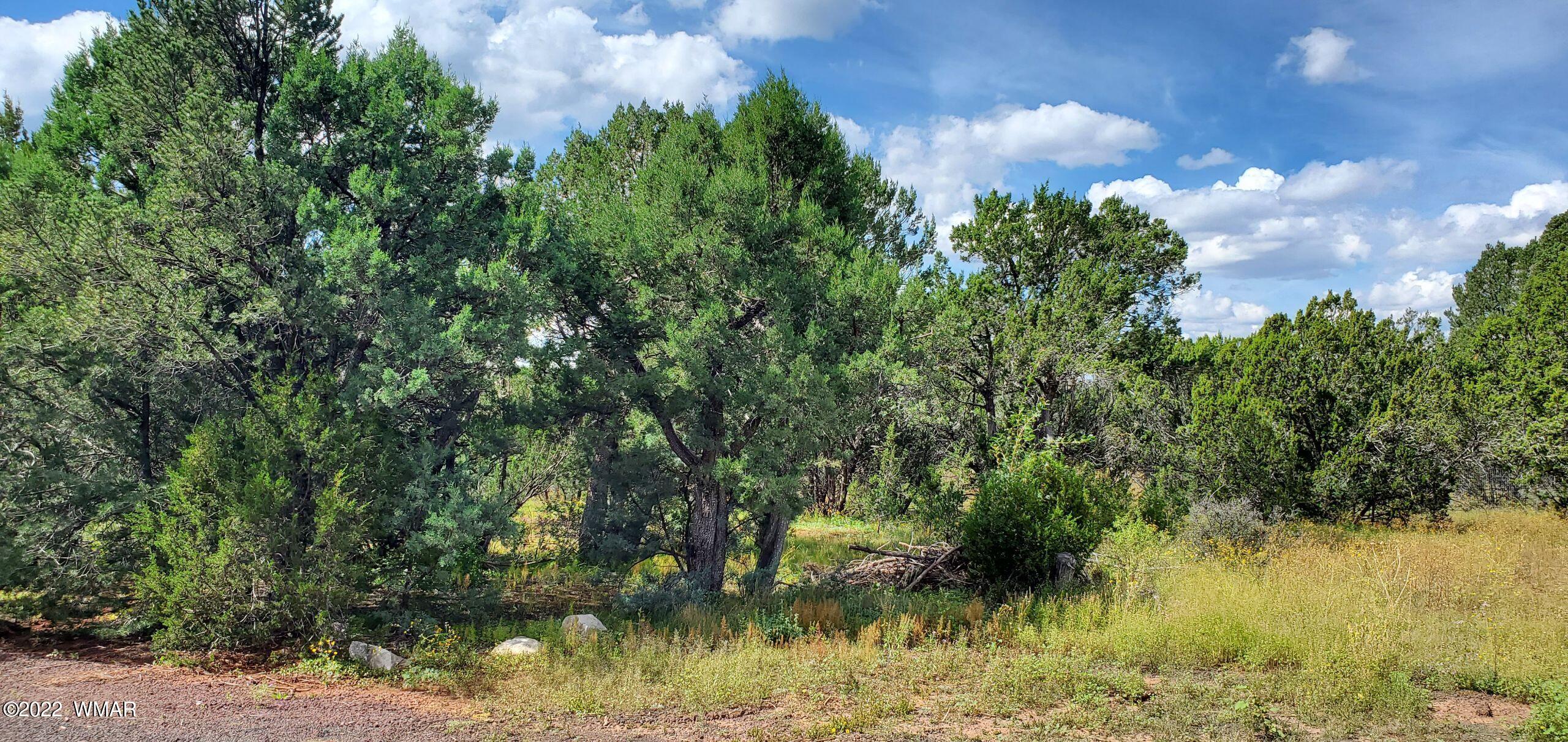 571 Co Road Show Low, AZ 85901 - Photo 10 of 30